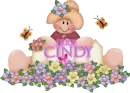 Cindy