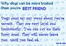 Dogs are loyal