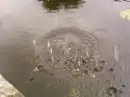 Splashes on canal 