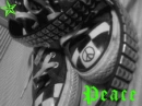 converse 4 peace
