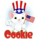 July 4th: Cookie