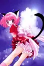 tokyo mew mew
