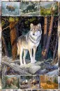 wolfs