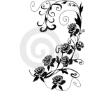 noir rose