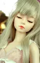 Doll