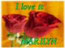 love it