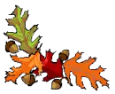 LEAVES