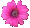 pinky