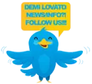 Bird Demi