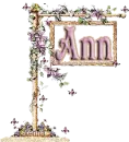 ann