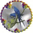 Ara