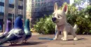 Bolt