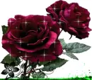For My Angel