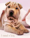 I need hugs
