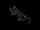 Lizard.