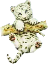Tiger Cub