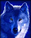 Blue Winking Wolf