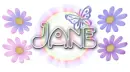jane pastel