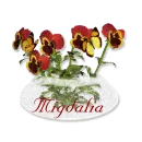MIGDALIA
