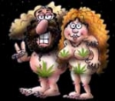 hippys