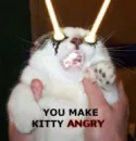 angry kitty