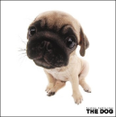 The dog