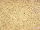 cute