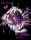 Dream