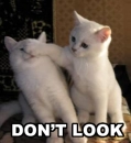 don't look