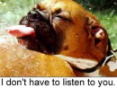 don't have to listen