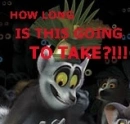madagascar
