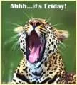 friday
