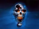 skull