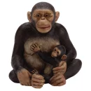 monkey and mom