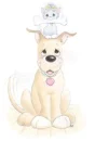 dog and cat