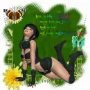 butterfly