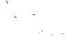 sea gull
