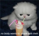 no one wants to share