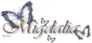 Blue Butterflies - Migdalia