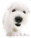 hello :)