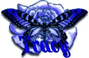 blue butterfly tracy