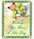 Wishing you have a nice day