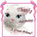 Thanks For Being Great Friend