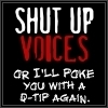 voices