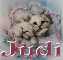 judi
