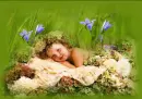 garden baby