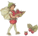 STRAWBERRY FAIRY