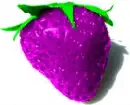PURPLE STRAWBERRY