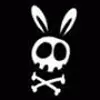 rabbit skull