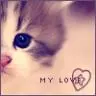 kitty